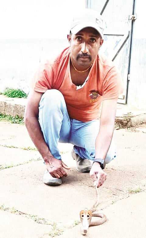 ಚಿತ್ರ 31ಎಸ್ ಡಿ ಪಿ 03