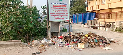 271 hnpur