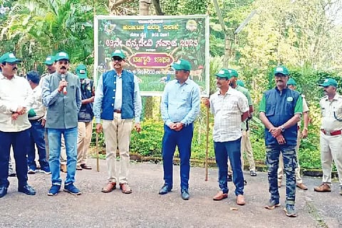 7-SIRSI-4 FOREST