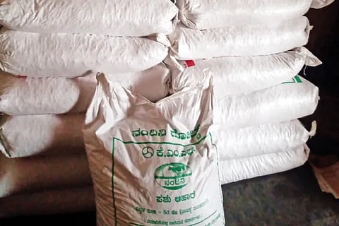 Cattle Feeds
