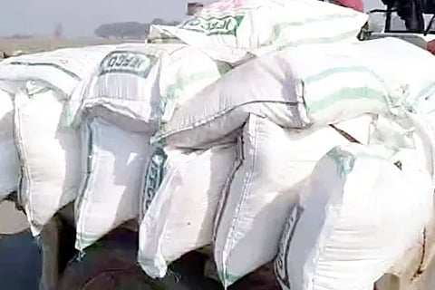 Fertilizer
