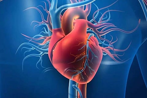 Heart Health