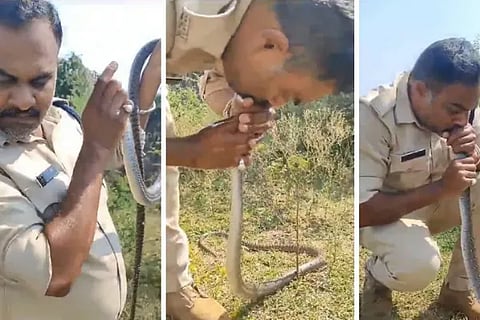 Madhya Pradesh Cop Spotted Giving CPR To Snake Shocking Video Surfaces