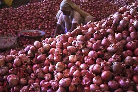 Onion Price
