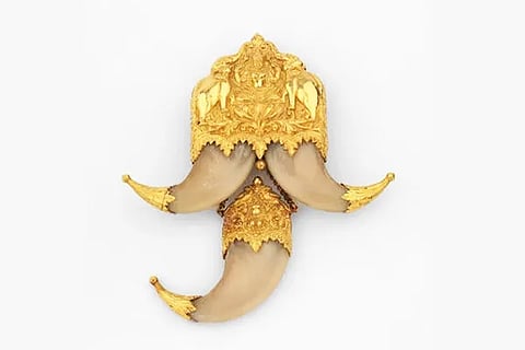 Tiger Claw Huliyuguru