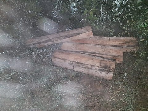 Timber sized