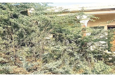 Untitled design