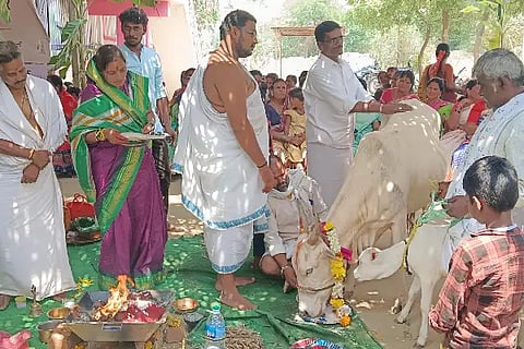 VV MLK KALASA