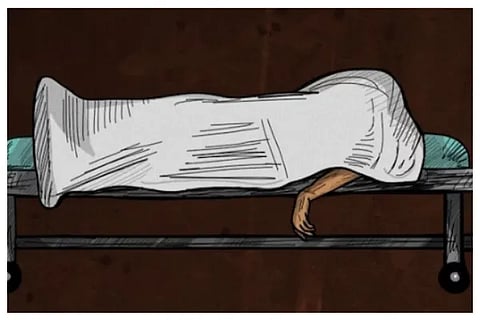 dmic