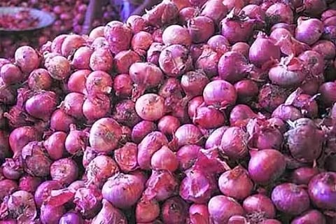 onion (1)