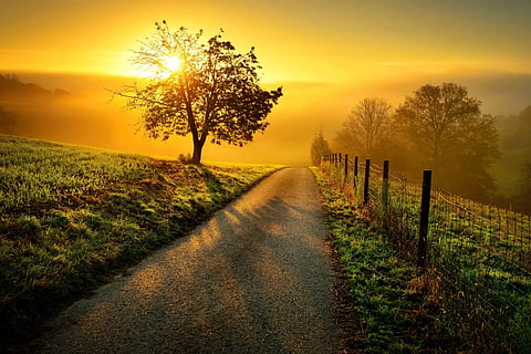 sun