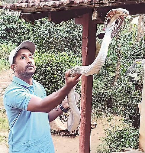 ಚಿತ್ರ 26ಎಸ್ ಡಿ ಪಿ 01