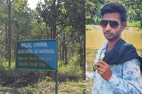 Bandipur Forest