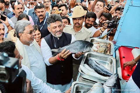 Fish (1)