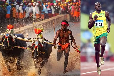 Kambala Usain Bolt