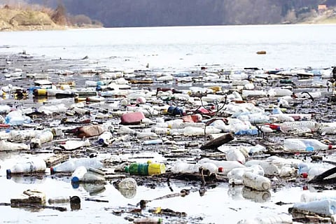 Water Pollution