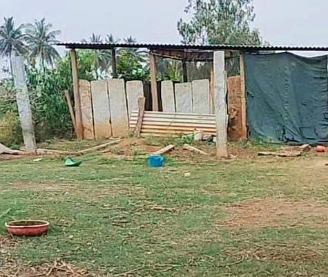 ಚಿರತೆ ದಾಳಿಗೆ ಹಸು ಬಲಿ