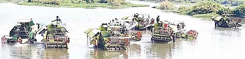 29 KAMPLI 02