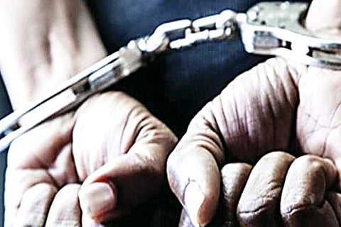 Crime Cases