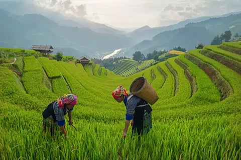 Tourism
