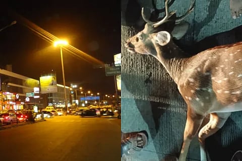 bangalore