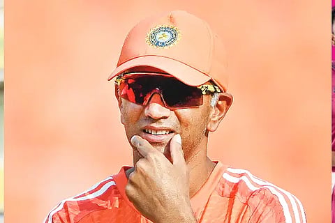 dravid web