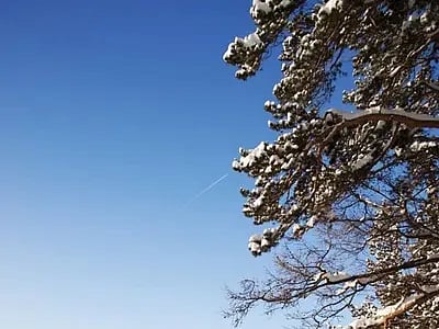temp