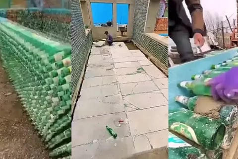 viral News (1)
