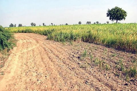 Government Land