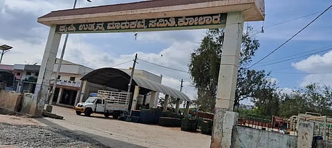 kolar apmc