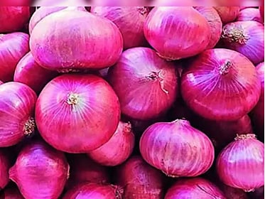 onion