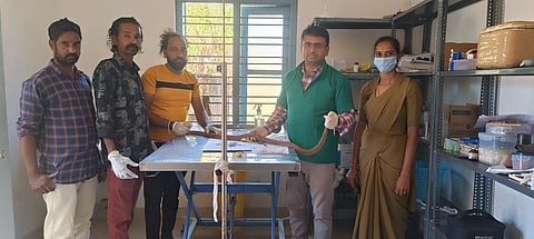 ಗಾಯಗೊಂಡಿದ್ದ ನಾಗರ ಹಾವಿನ ರಕ್ಷಣೆ