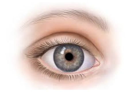 Free eye checkup, lens fitting tomorrow