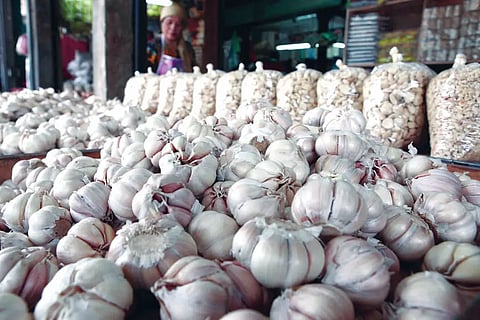 GARLIC