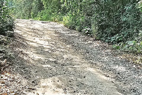 Udane Road