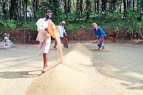 agriculture