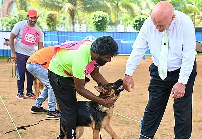 dog show - Copy