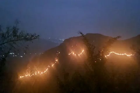 forest fire 2