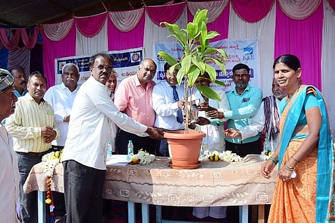 h4-health camp