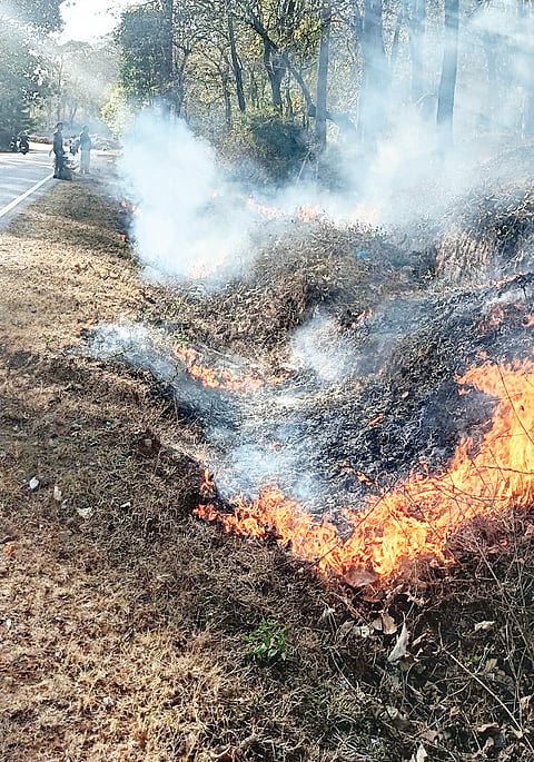 ಅರಣ್ಯ ರಕ್ಷಣೆ ಸವಾಲಿನ ಕೆಲಸ