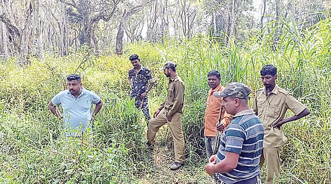 ಚಿತ್ರ 02ಎಸ್ ಡಿ ಪಿ 01