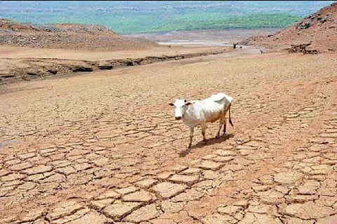 Drought