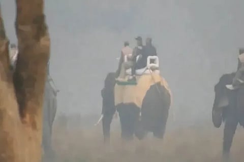 Elephant Ride