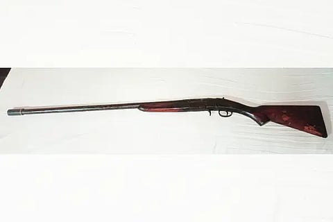 Gun