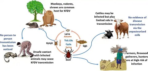 Kyasanur forest disease