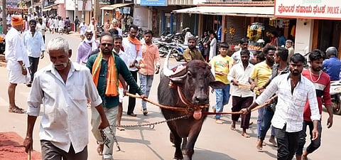 Sirsi-Jatra.