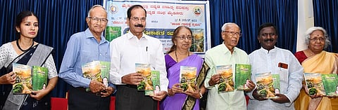 mysore