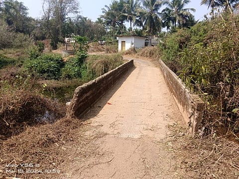 UDP-29-9A-Bridge