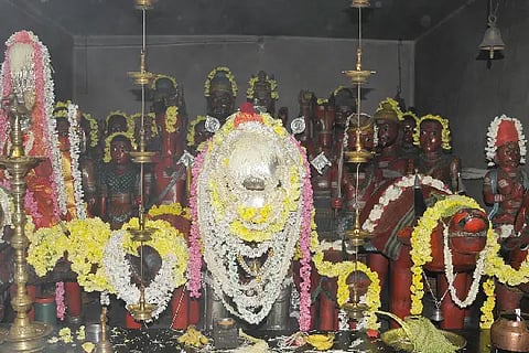 mekkekattu 1