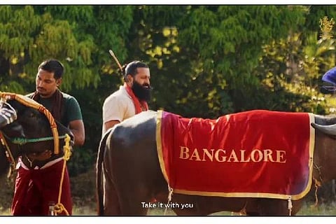 rcb web